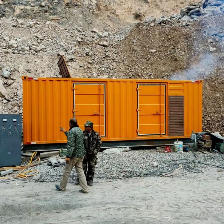 番阳镇如何选择适合自己的 800KW 柴油发电机组？